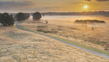 karin-broekhuijsen_brl9323